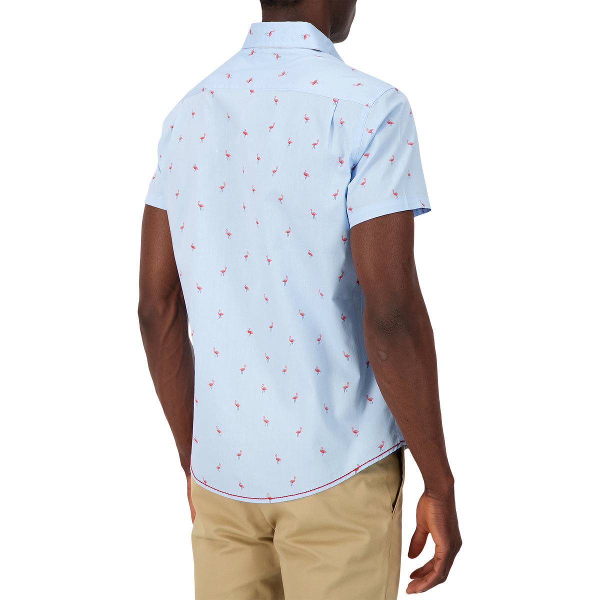 Model Back View of Short Sleeve Shirt with Flamingo Print in Blue