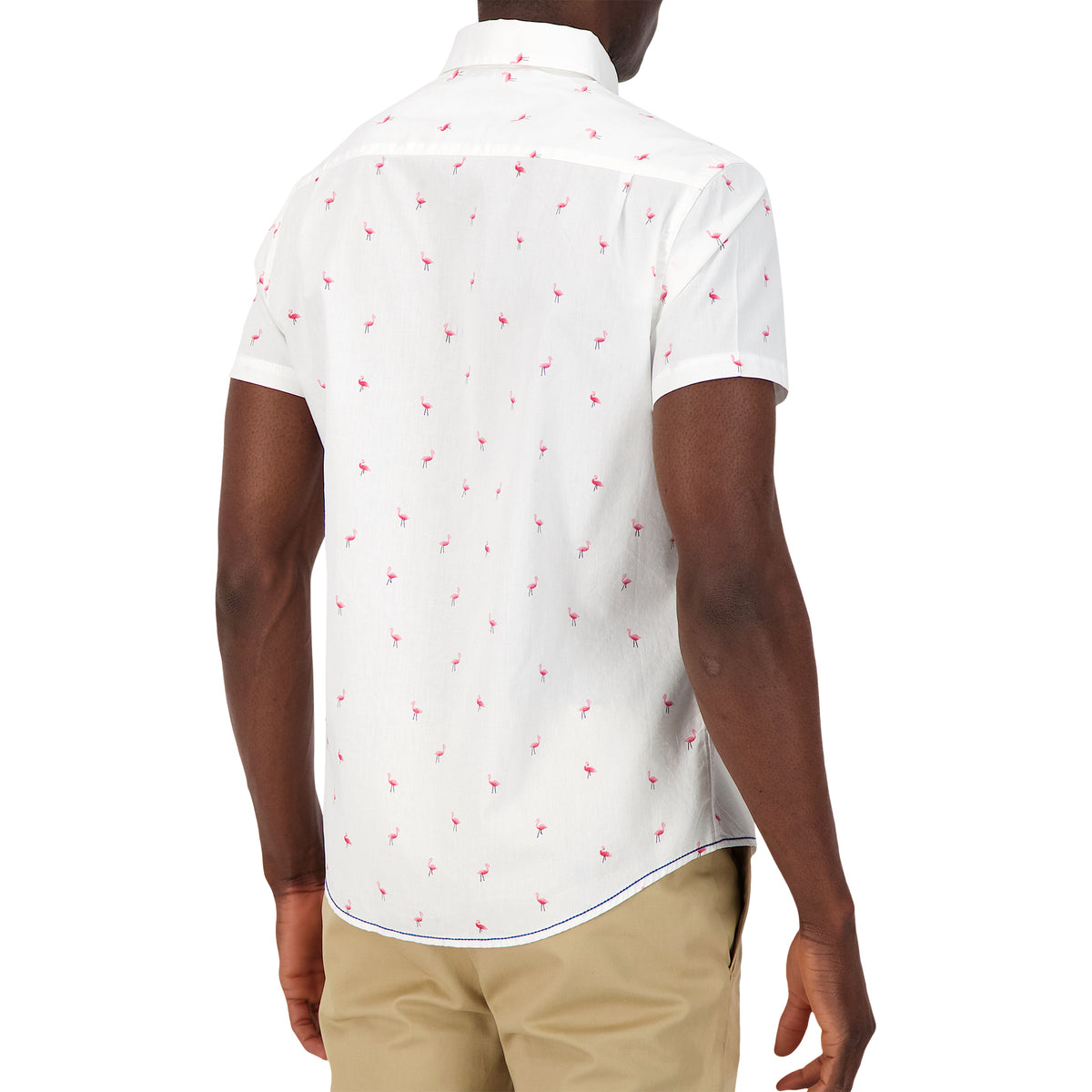Model Back View of Short Sleeve Shirt with Flamingo Print in White