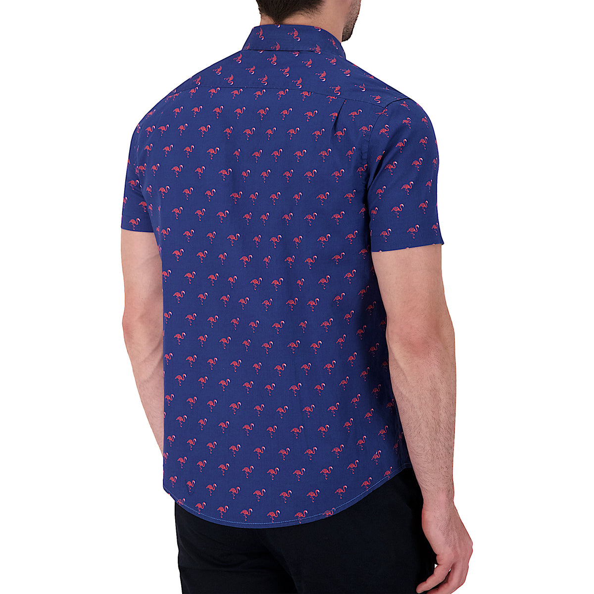 Model Back View of Short Sleeve Shirt with Flamingo Print in Navy