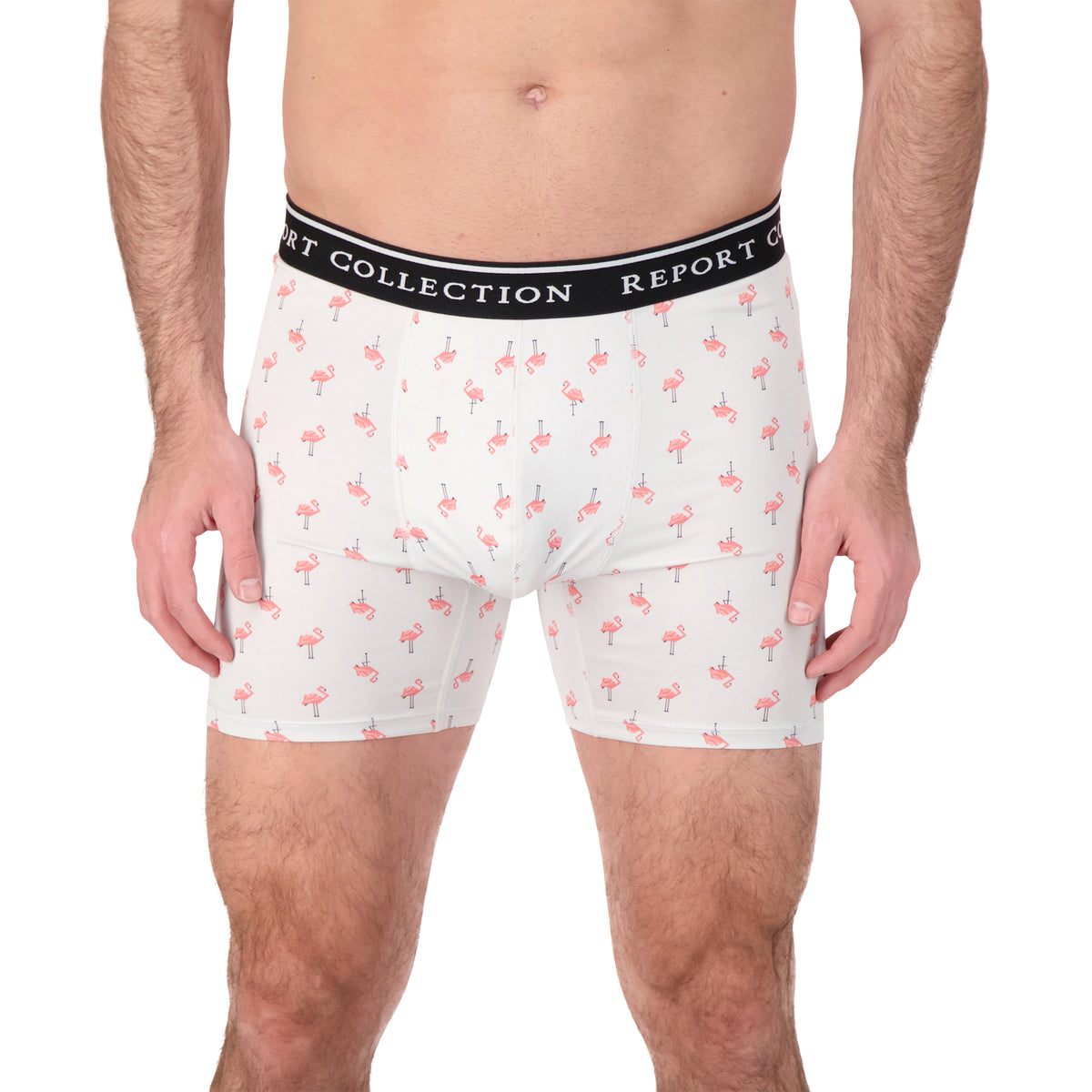 Model Front View of Boxer Underwear in Flamingo Print