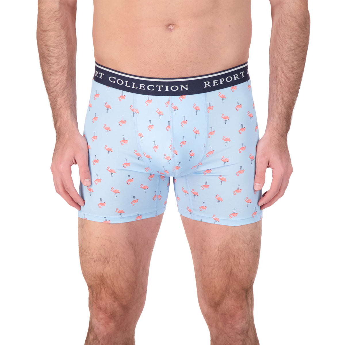 Model Front View Boxer Underwear in Flamingo Print