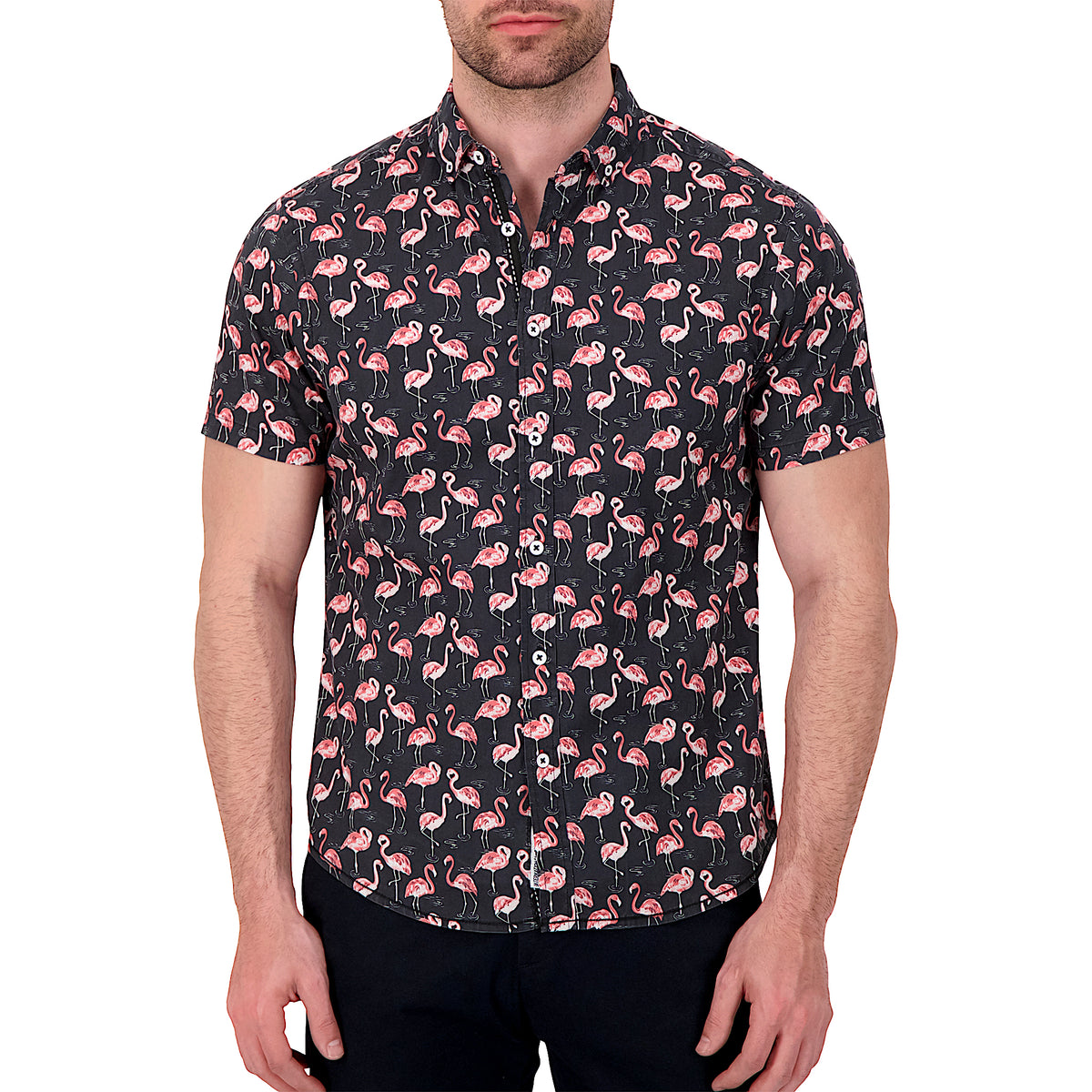 Model Front View of Short Sleeve Shirt with Flamingo Print in Black