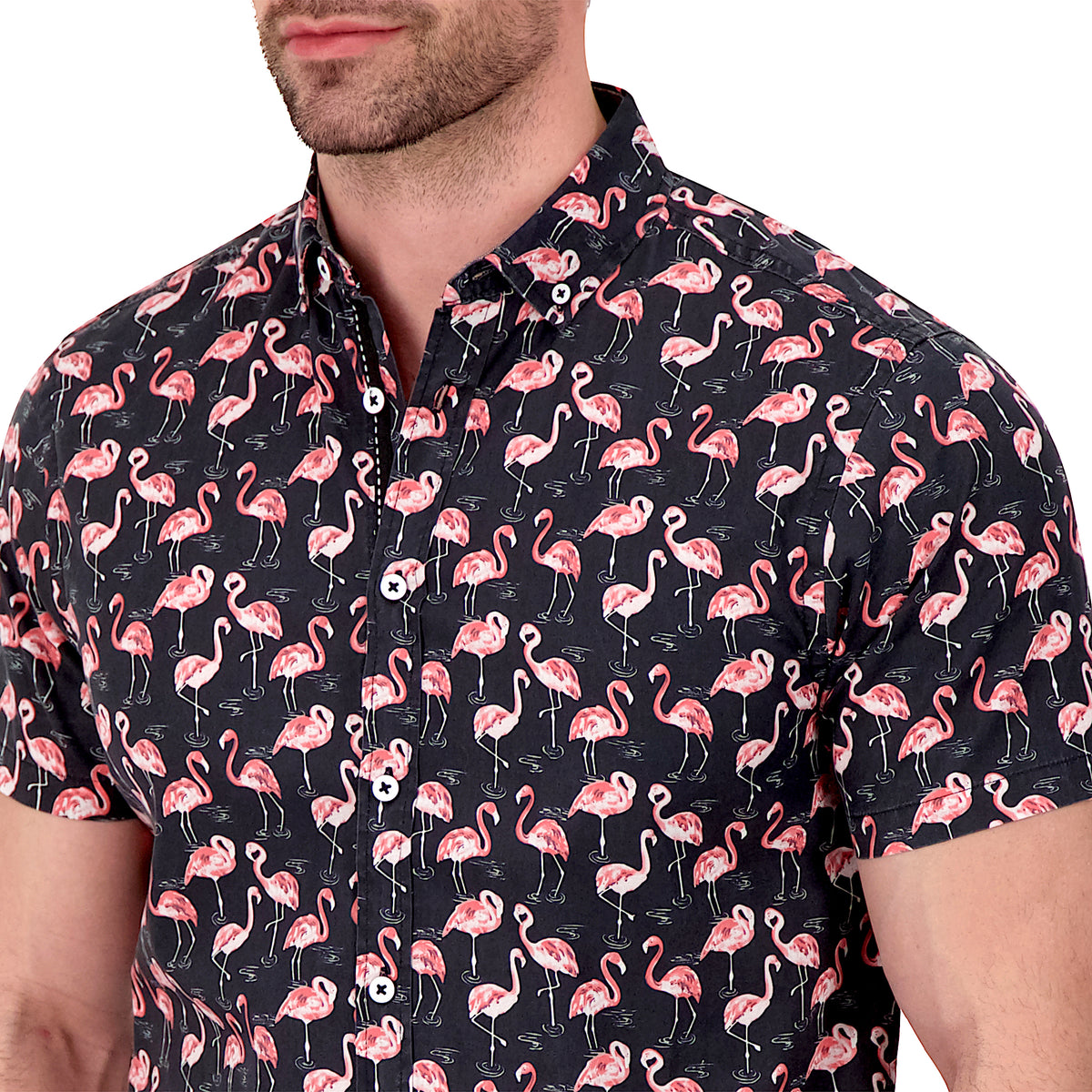 Model Front Close Up View of Short Sleeve Shirt with Flamingo Print in Black