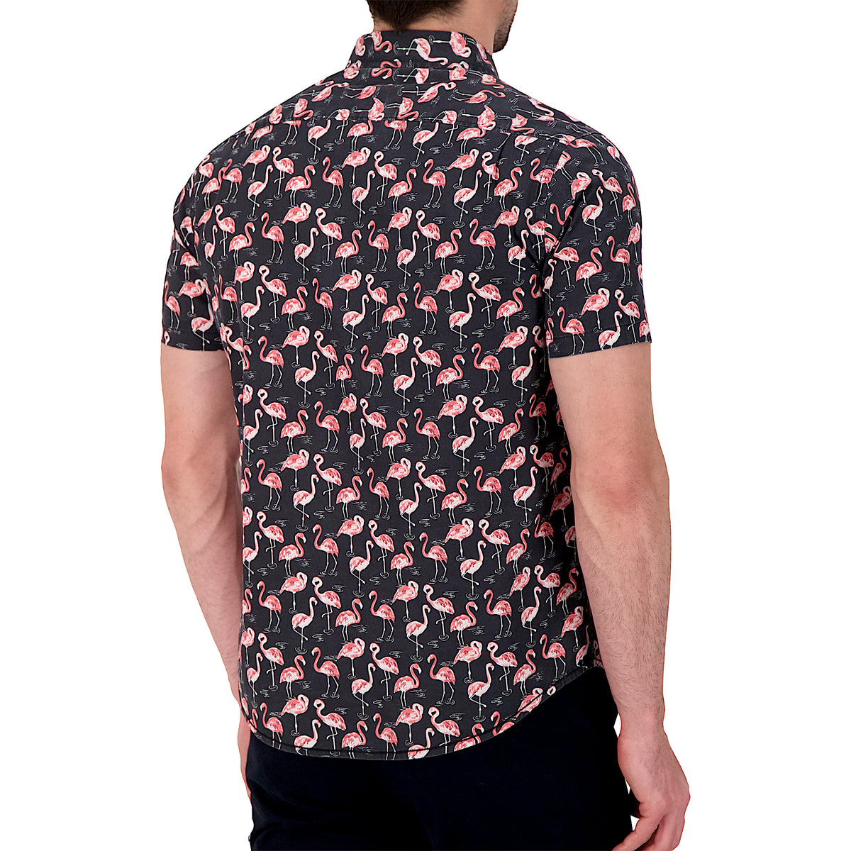 Model Back View of Short Sleeve Shirt with Flamingo Print in Black