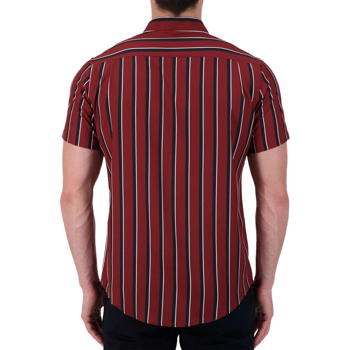 Model Back View of Short Sleeve 4 Way Stretch Striped Shirt in Burgundy
