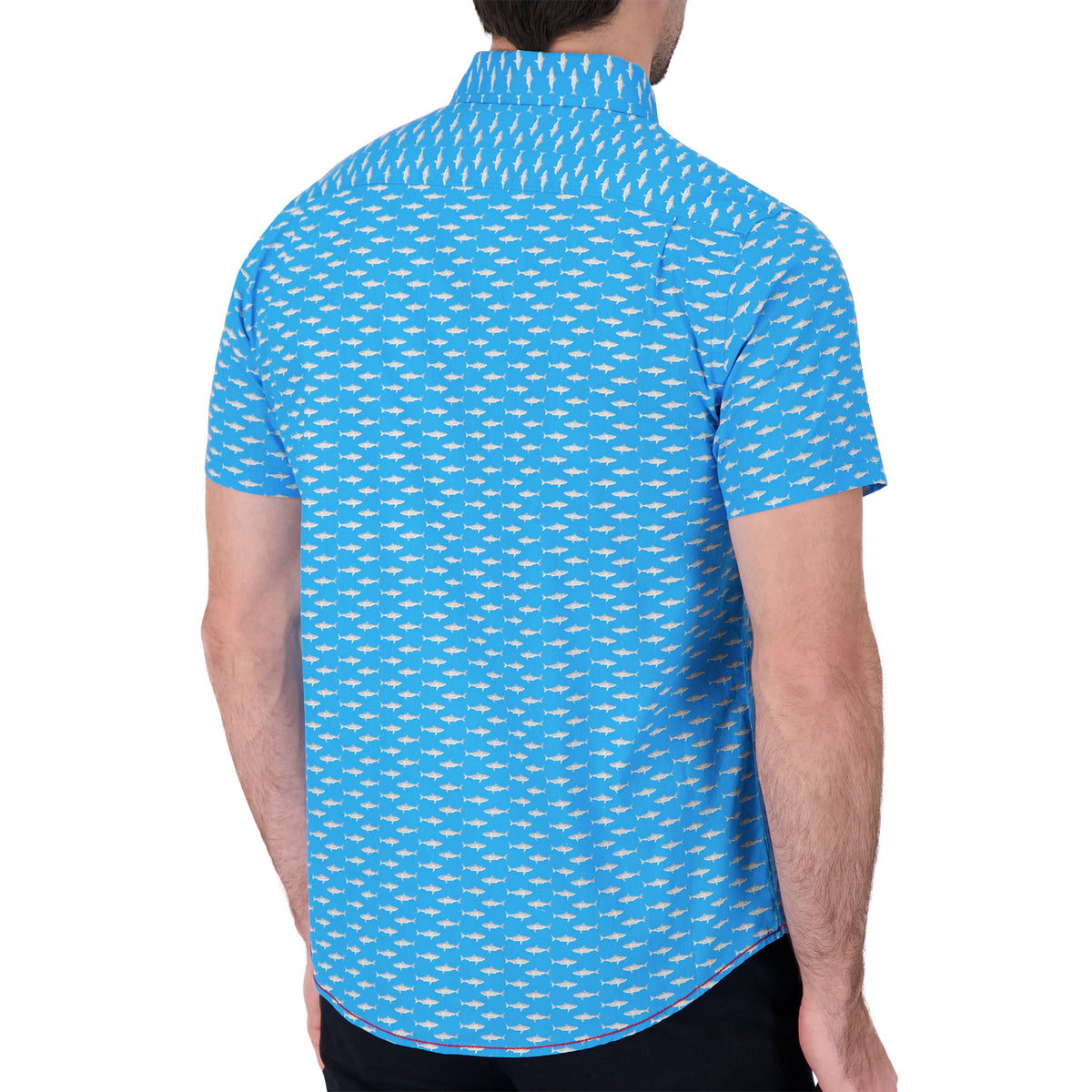 Model Back View of Short Sleeve Shirt with Shark Print in Blue